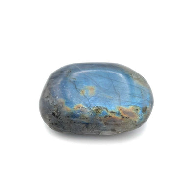 Galet de Labradorite bleue de Madagascar